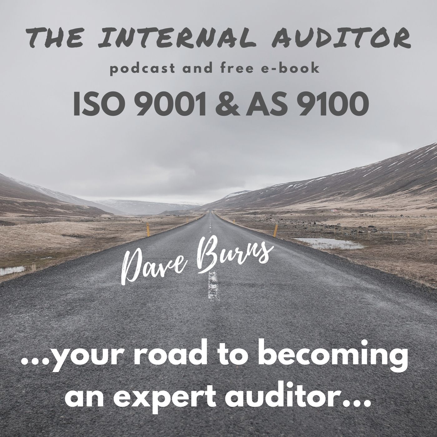 THE NEW INTERNAL AUDITOR 2 podcast
