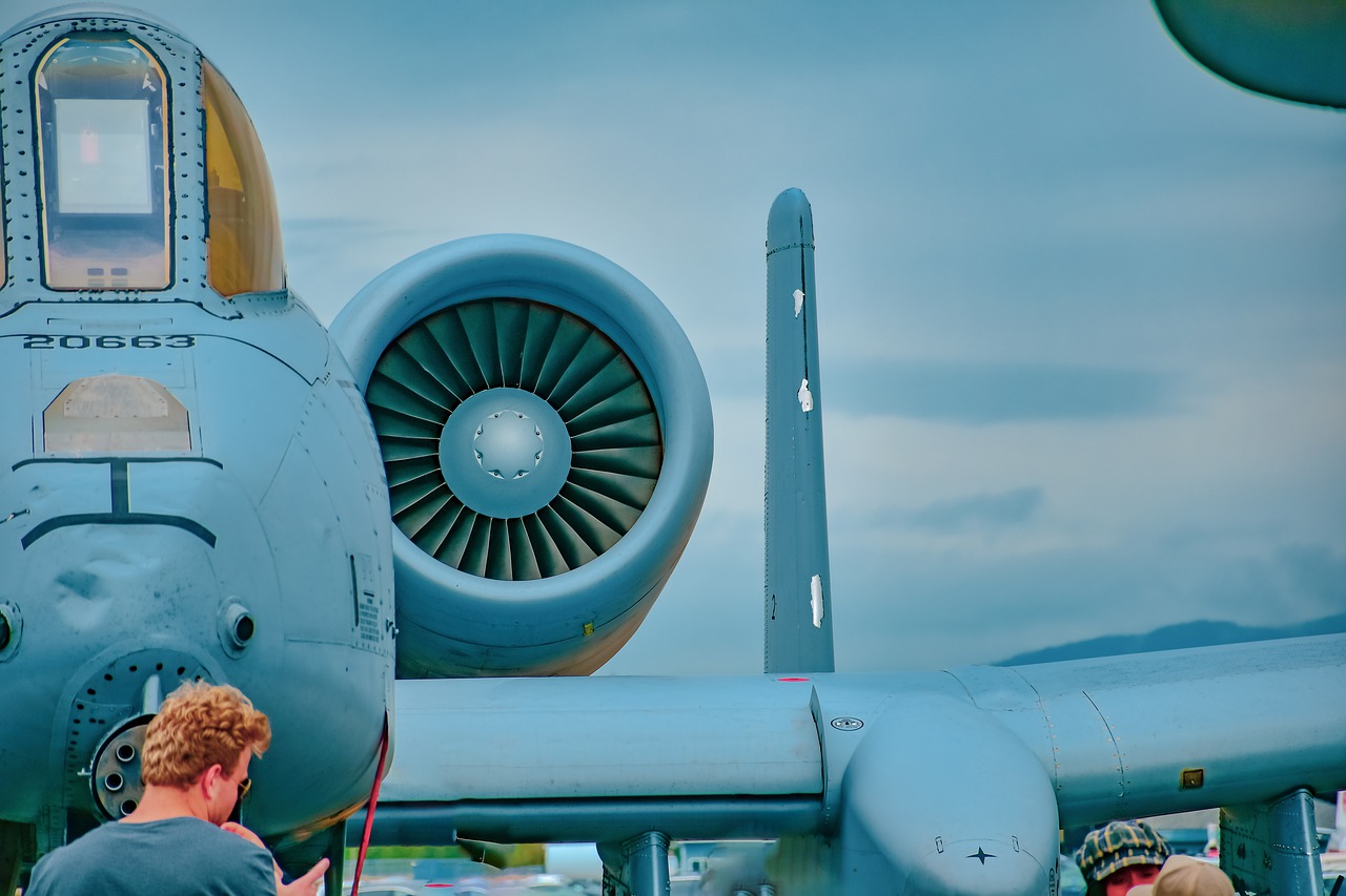 warthog, a-10, m-4706629.jpg